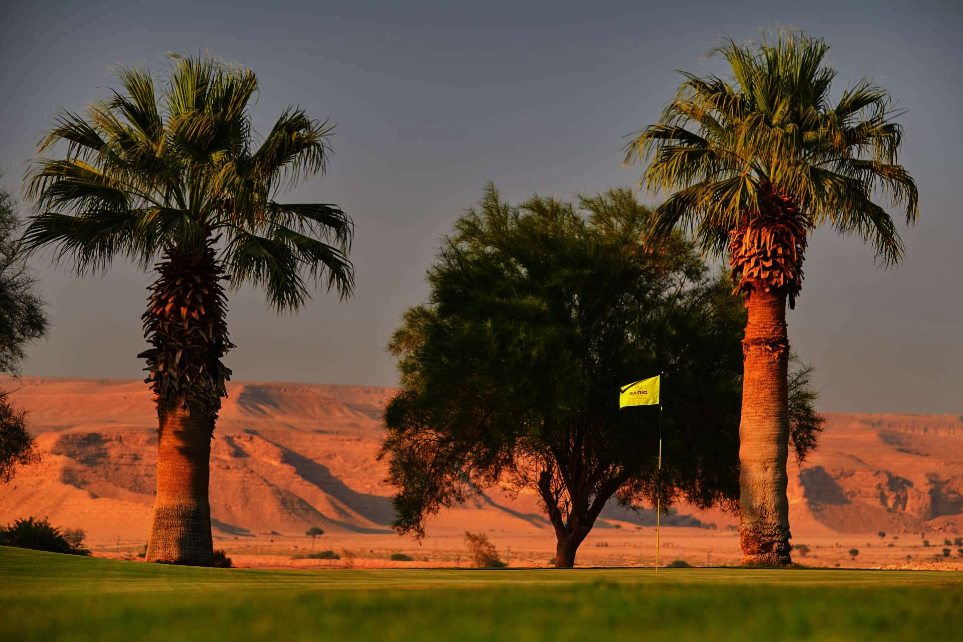 السعودية