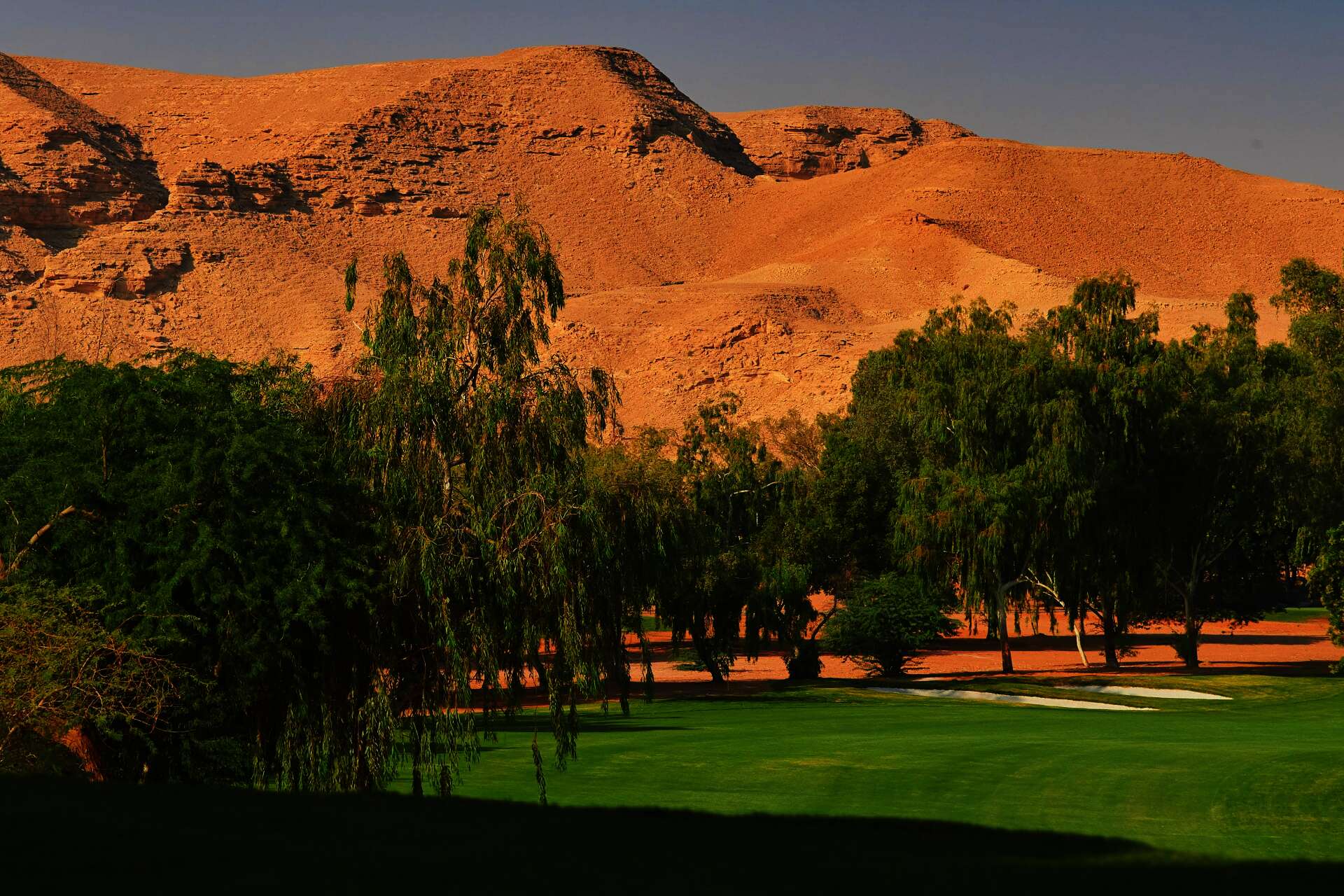 السعودية